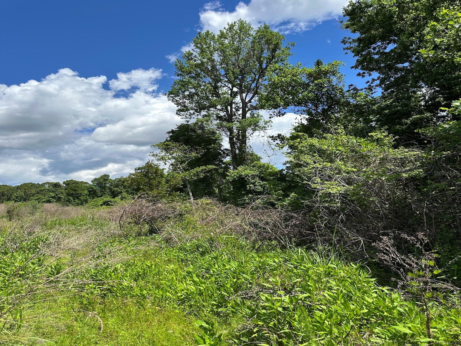 Image 10 of 21 For Tbd 240th Street