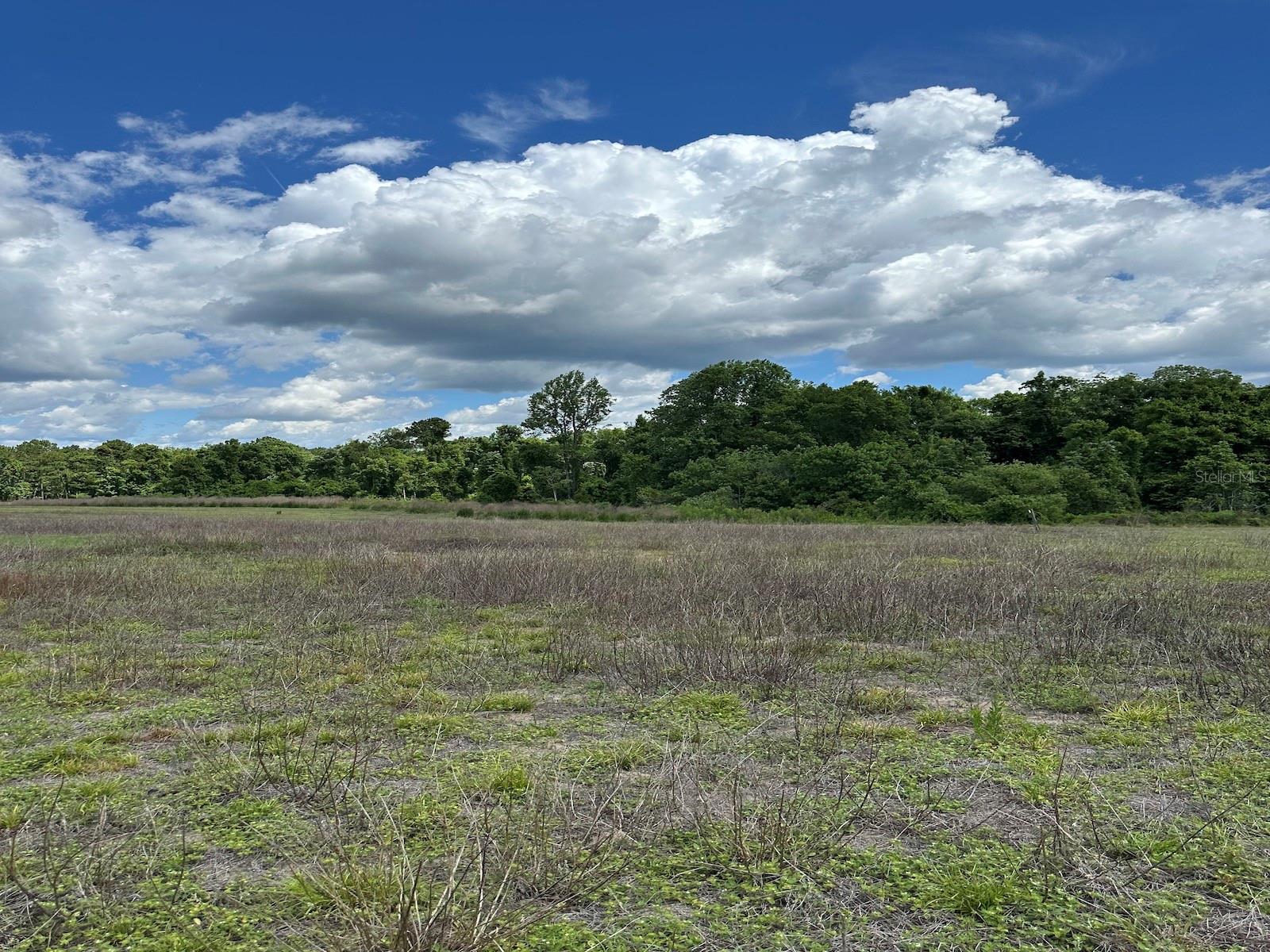 Image 4 of 21 For Tbd 240th Street