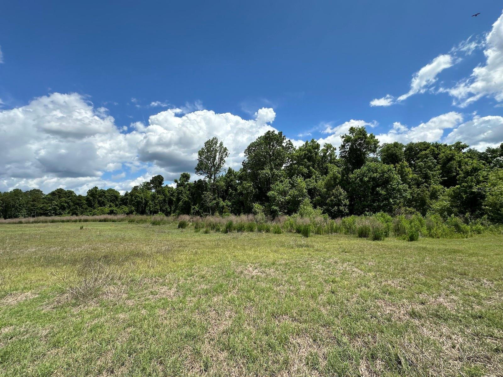 Image 5 of 21 For Tbd 240th Street