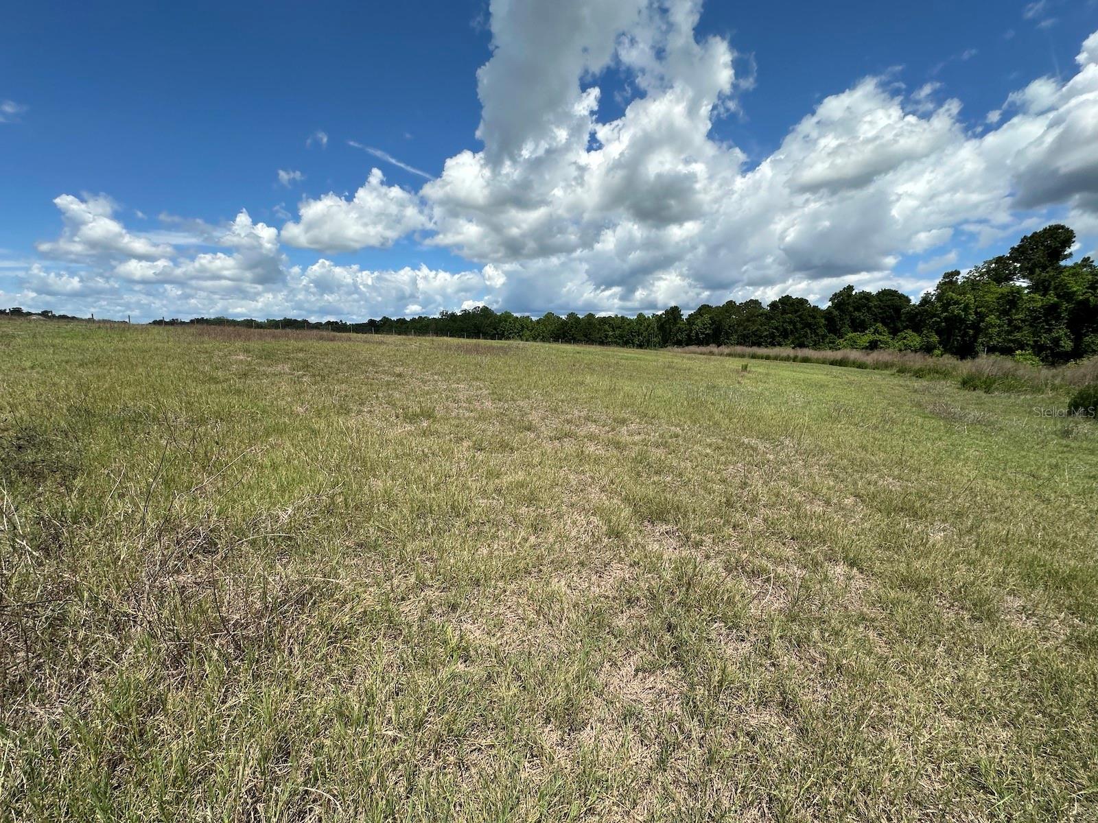 Image 6 of 21 For Tbd 240th Street