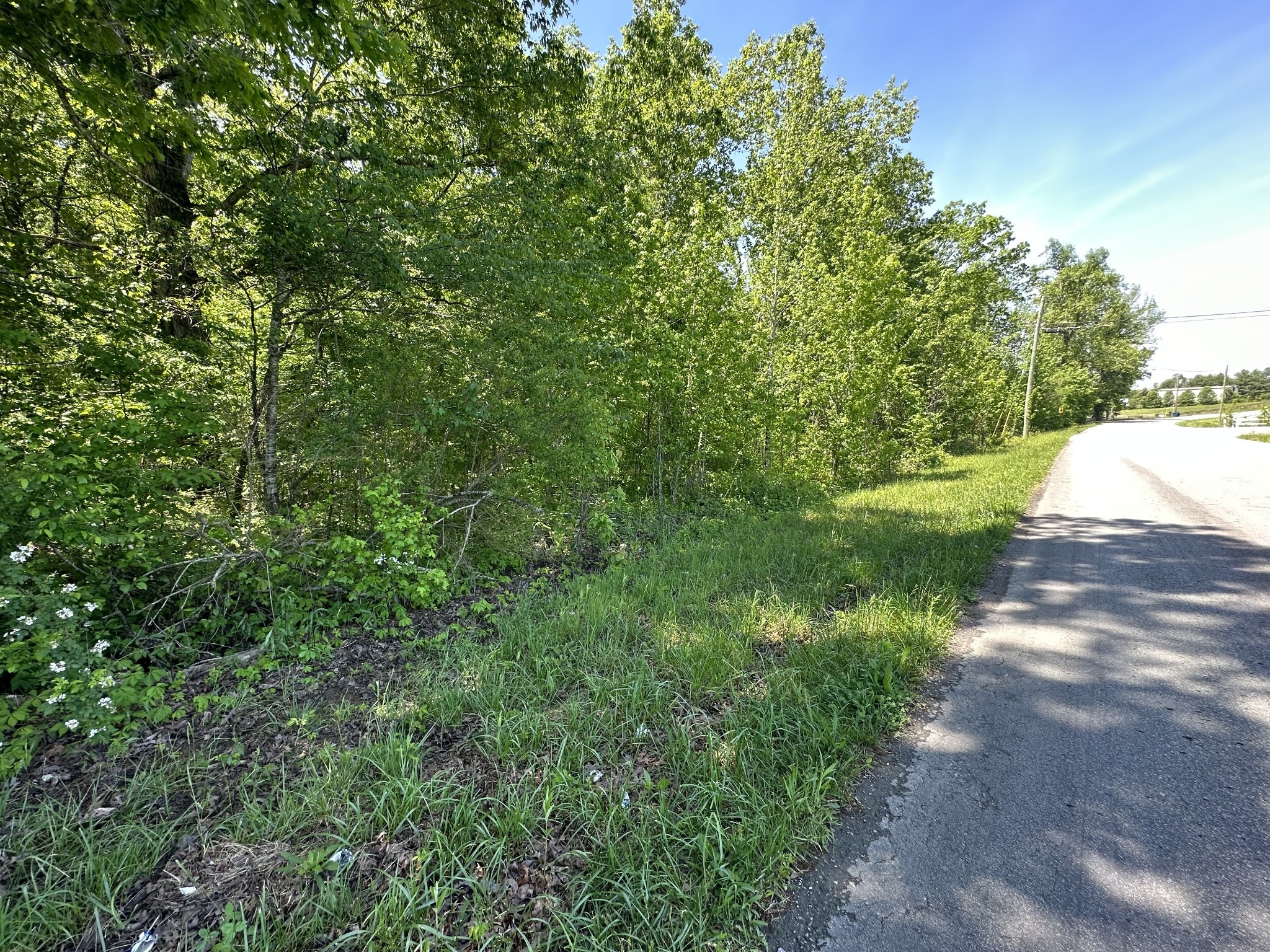 Details for 2929 101st Terrace, SILVER SPRINGS, FL 34488