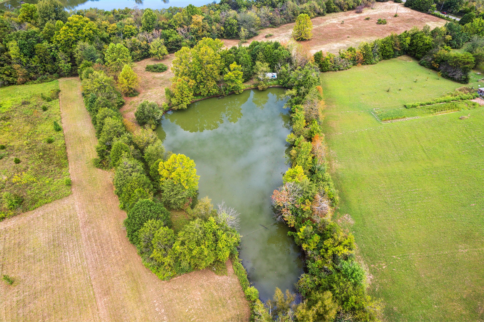 Details for 14399 59th Court, SUMMERFIELD, FL 34491