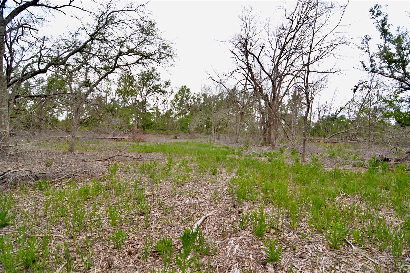 Image 14 of 39 For 00 Cr-53  
