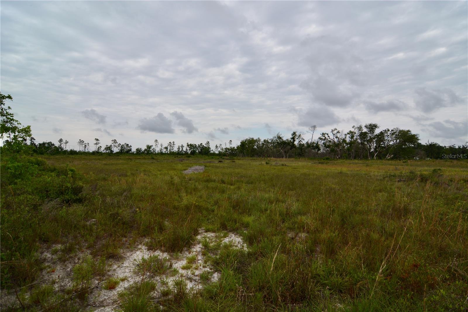 Image 15 of 39 For 00 Cr-53  