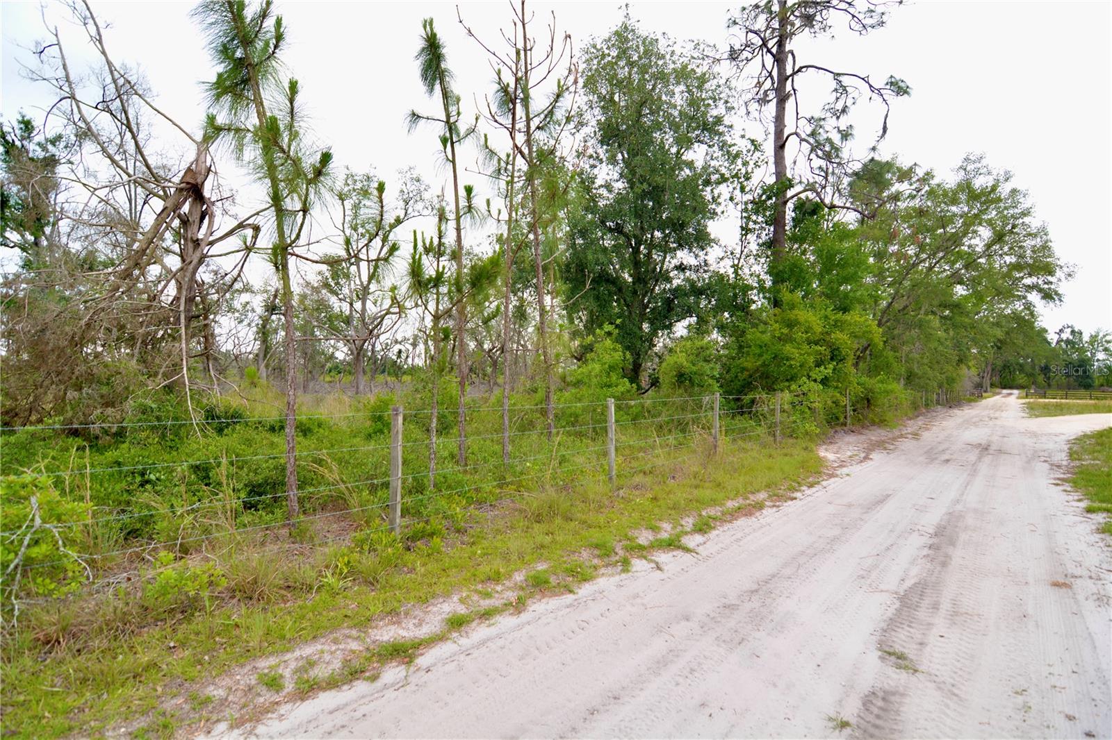 Image 17 of 39 For 00 Cr-53  