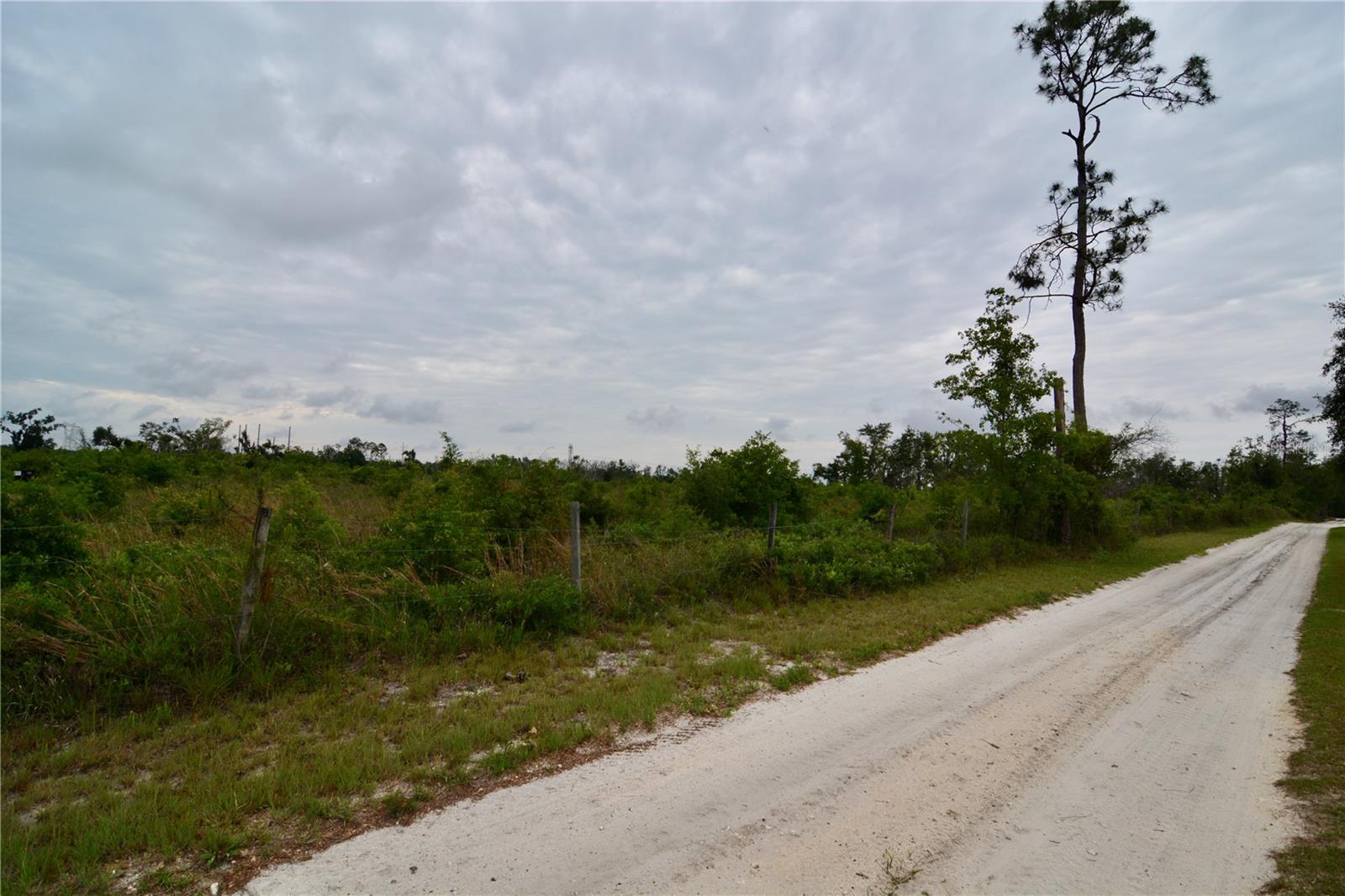 Image 19 of 39 For 00 Cr-53  