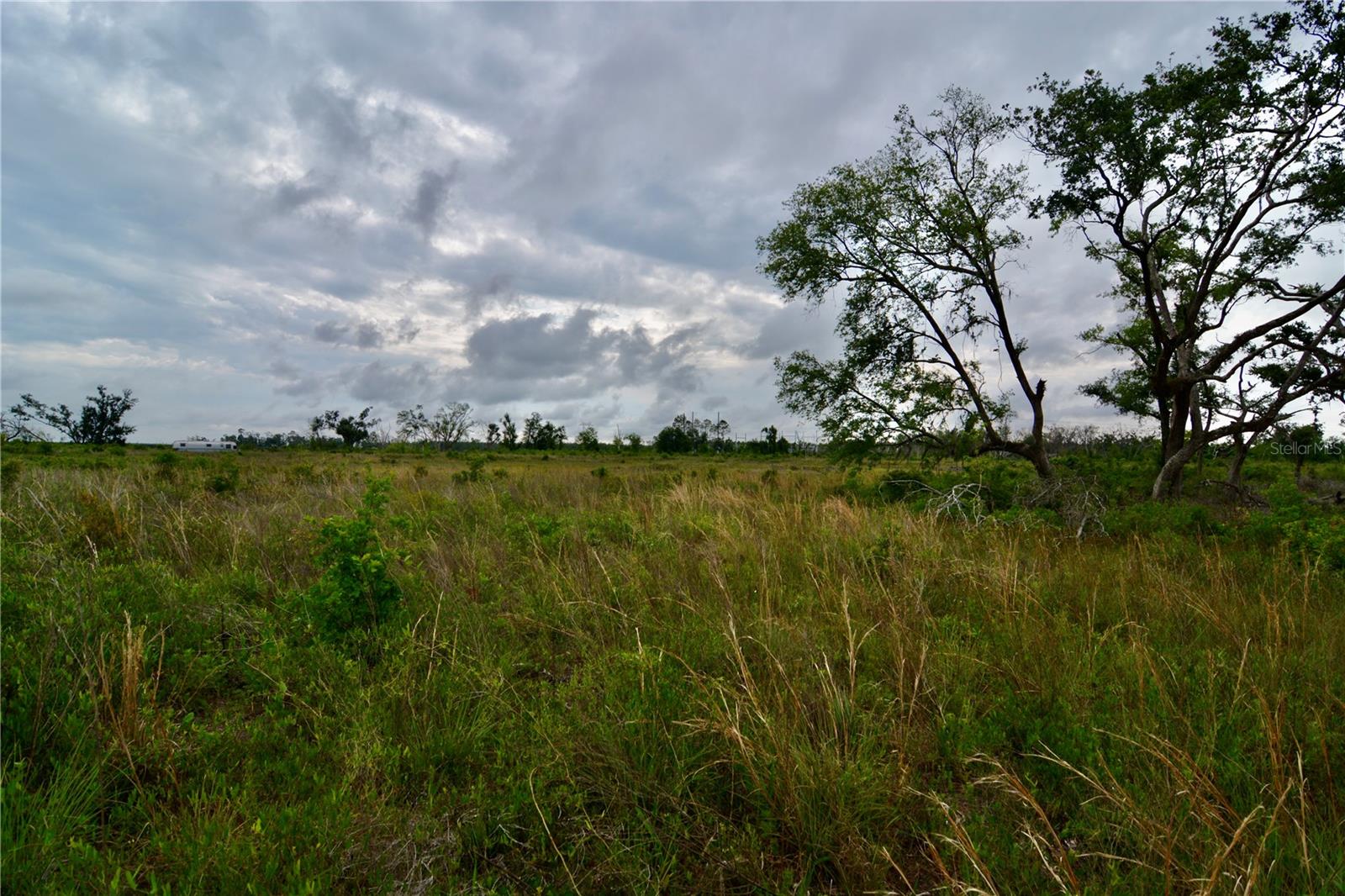 Image 20 of 39 For 00 Cr-53  