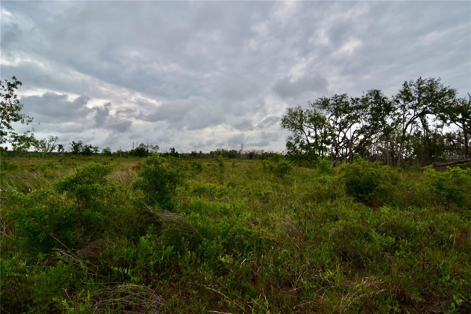 Image 21 of 39 For 00 Cr-53  