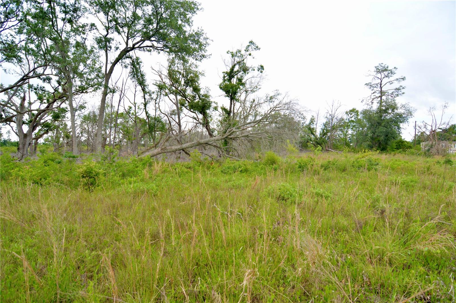 Image 27 of 39 For 00 Cr-53  