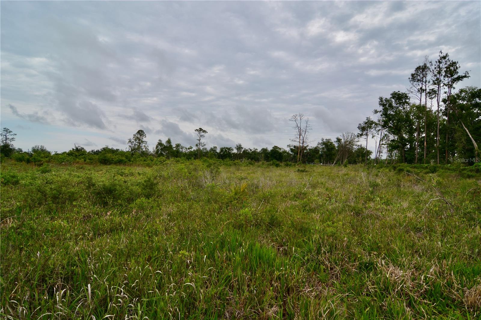 Image 28 of 39 For 00 Cr-53  