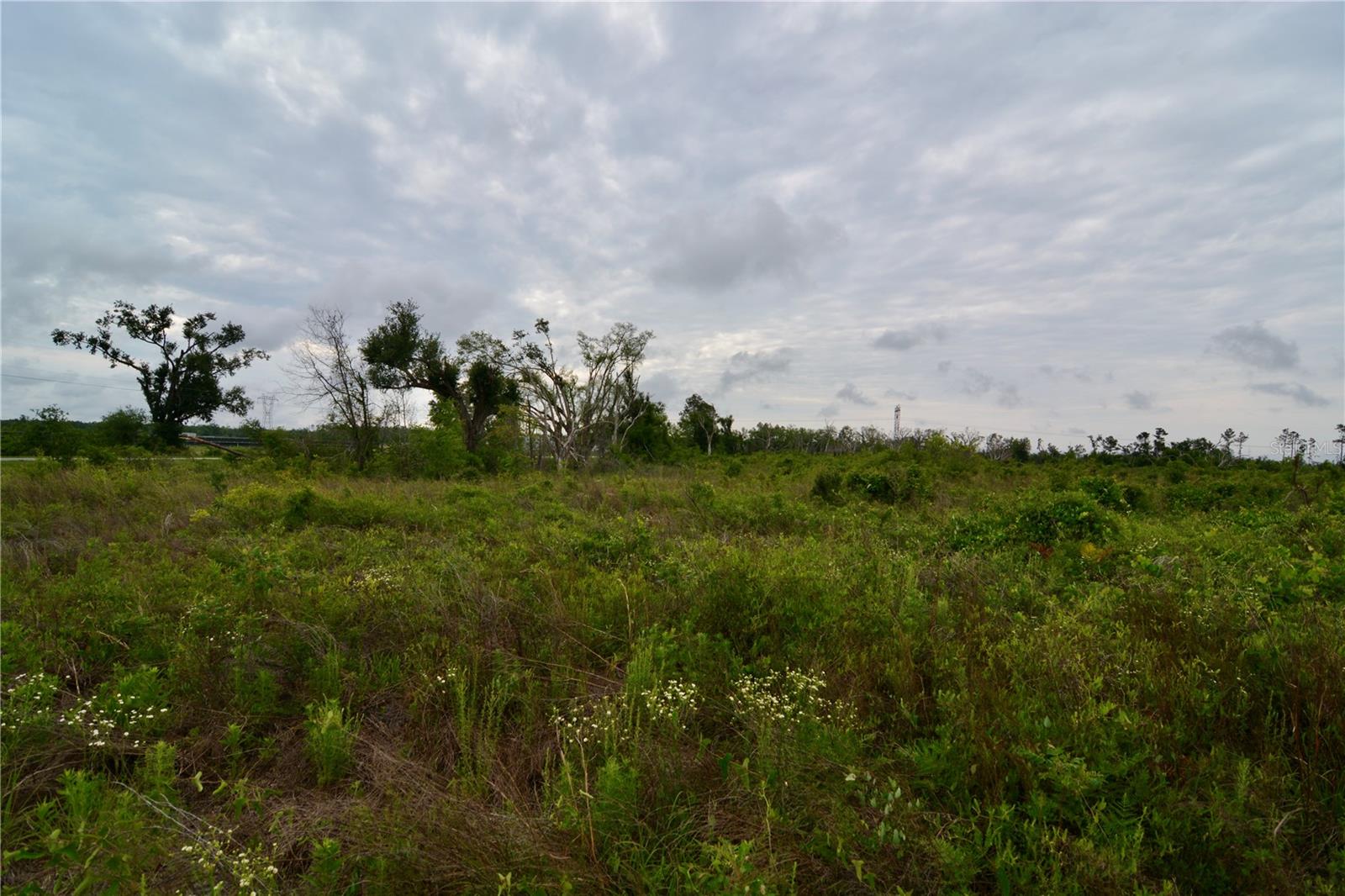 Image 29 of 39 For 00 Cr-53  