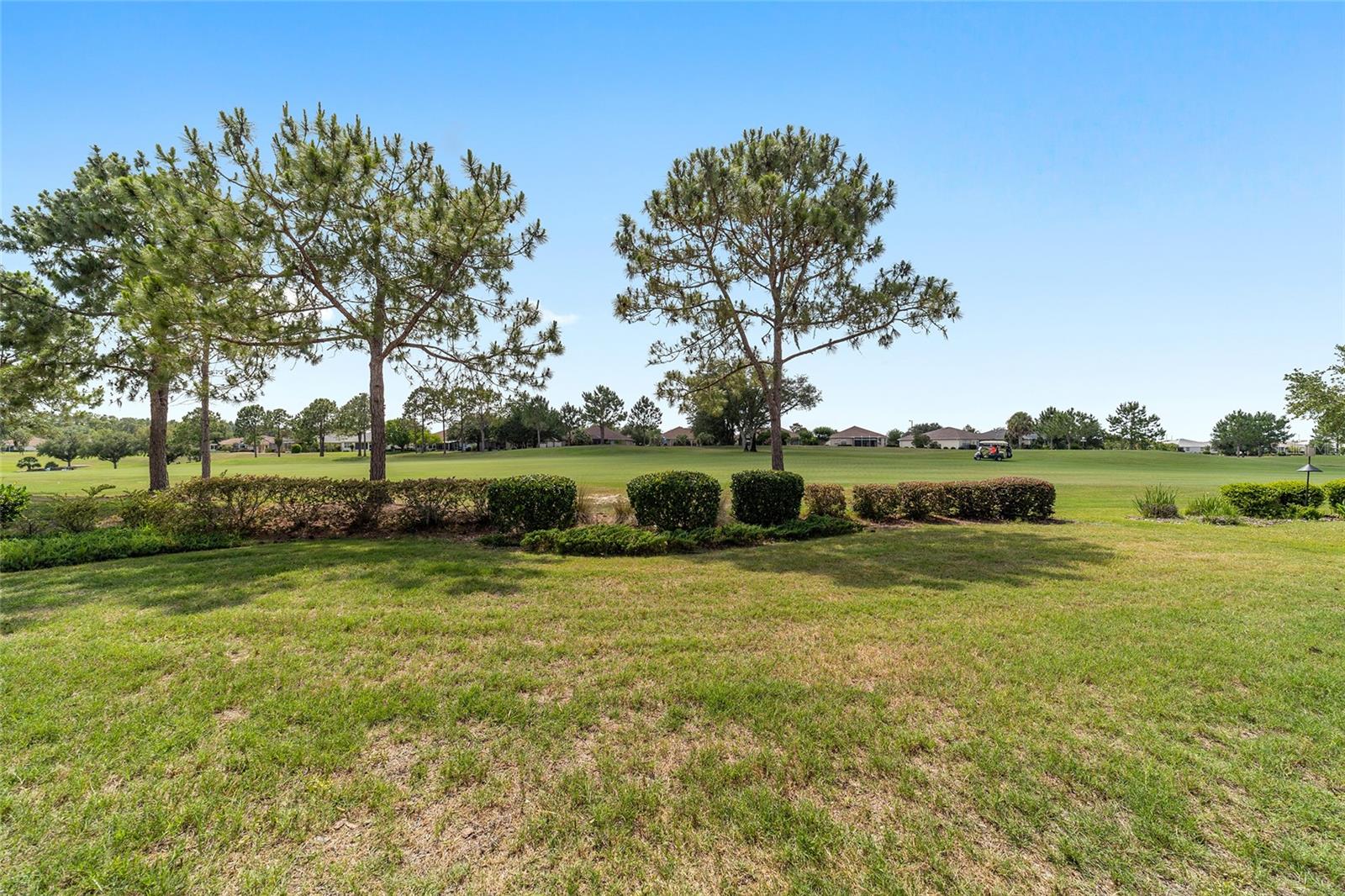 Image 47 of 48 For 9839 90th Street