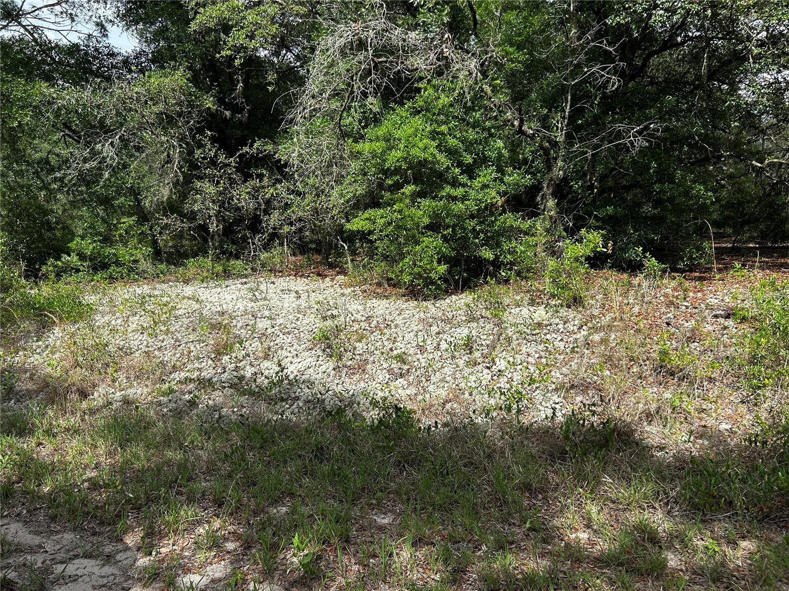 Image 2 of 6 For Tbd Uplands Avenue