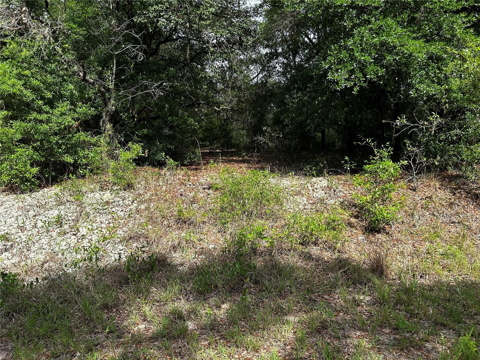Image 3 of 6 For Tbd Uplands Avenue