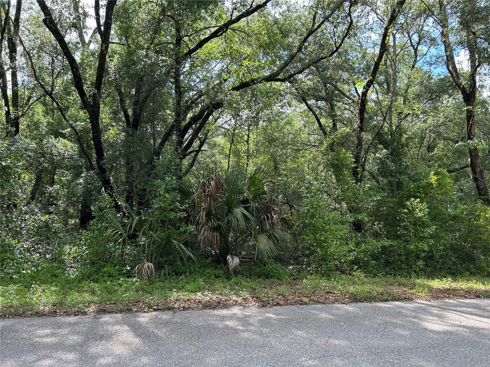 Image 4 of 6 For Tbd Uplands Avenue