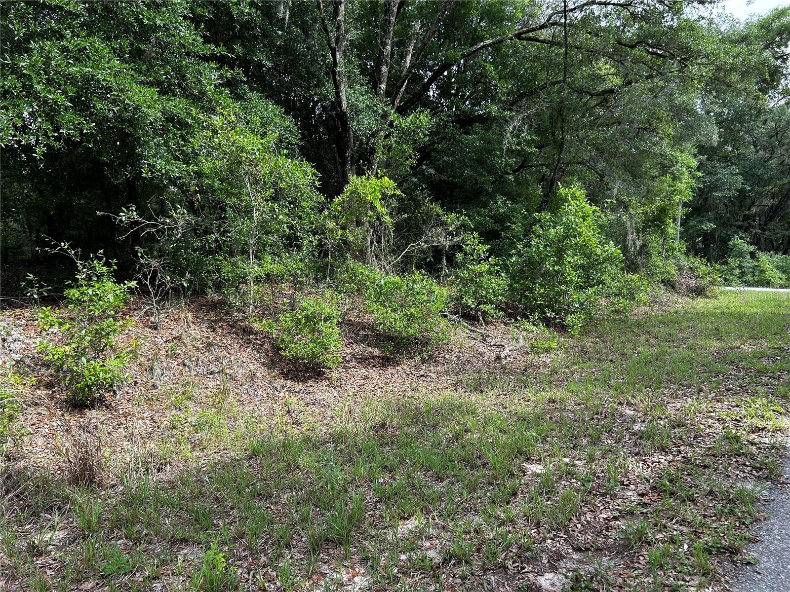 Image 5 of 6 For Tbd Uplands Avenue