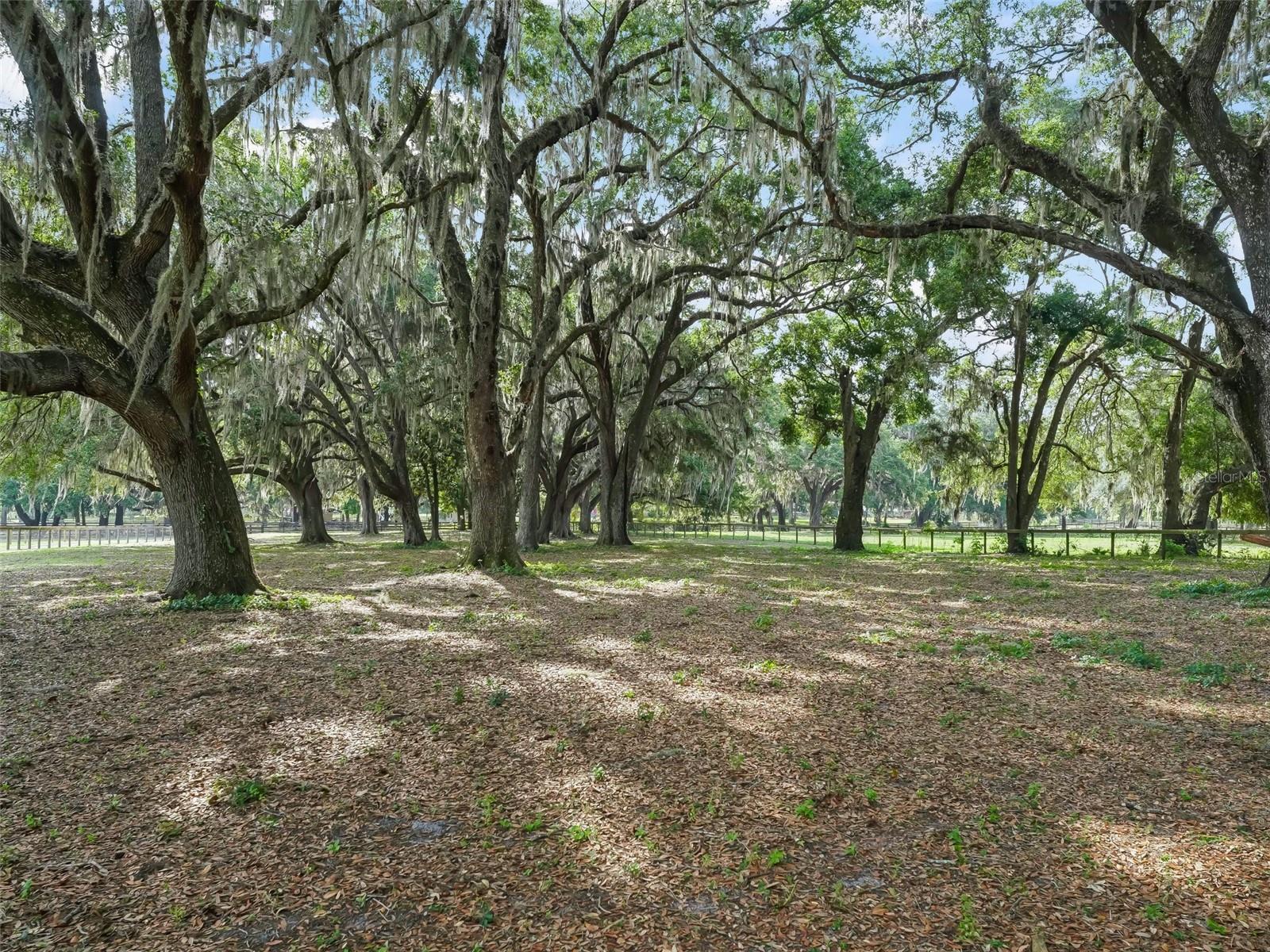 Image 42 of 48 For 18370 20th Avenue