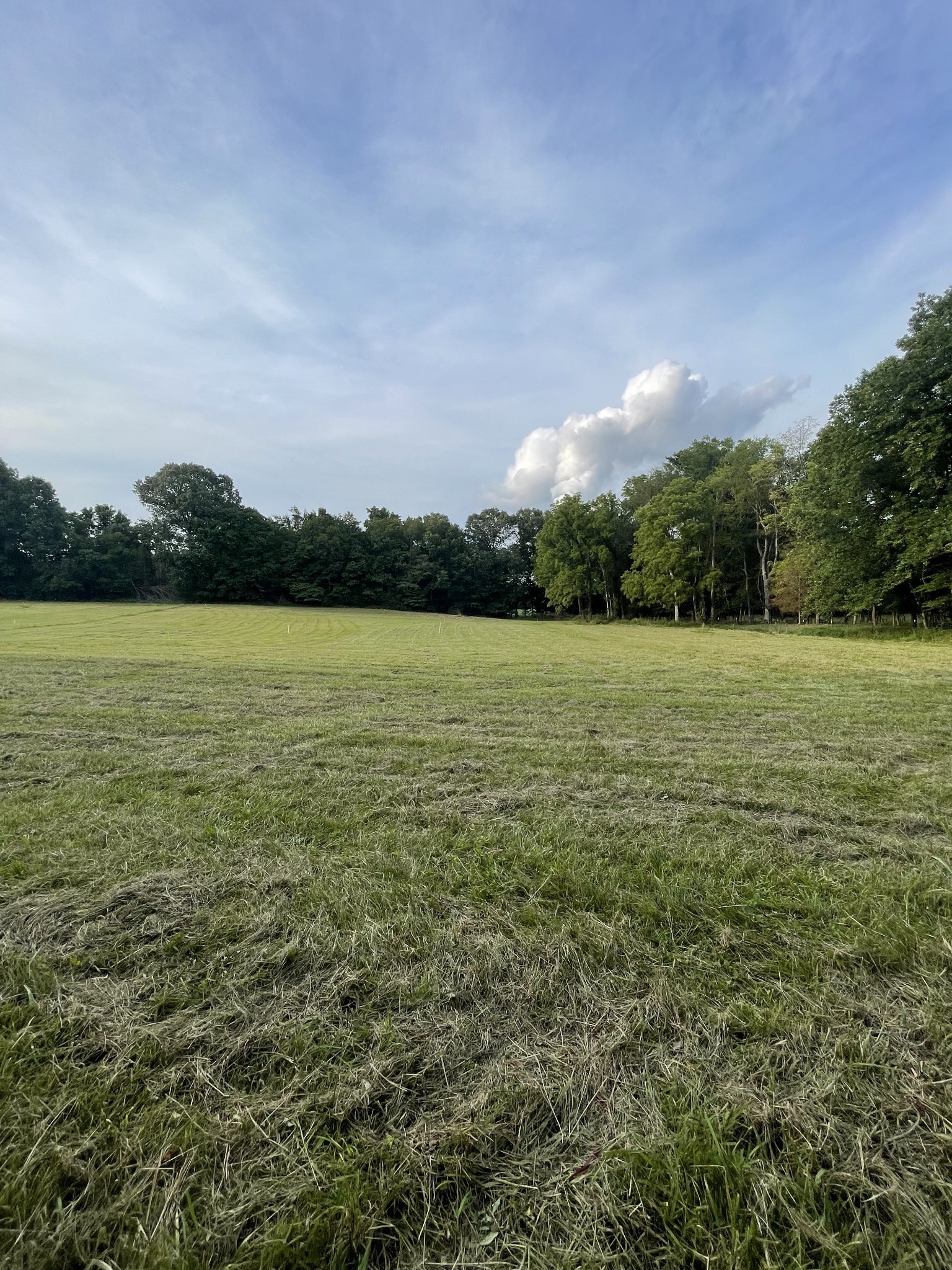 Details for 0 137th Terrace, WILLISTON, FL 32696