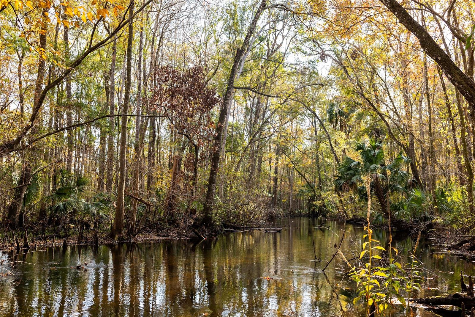 Details for  00 Cr 326  , GULF HAMMOCK, FL 32639