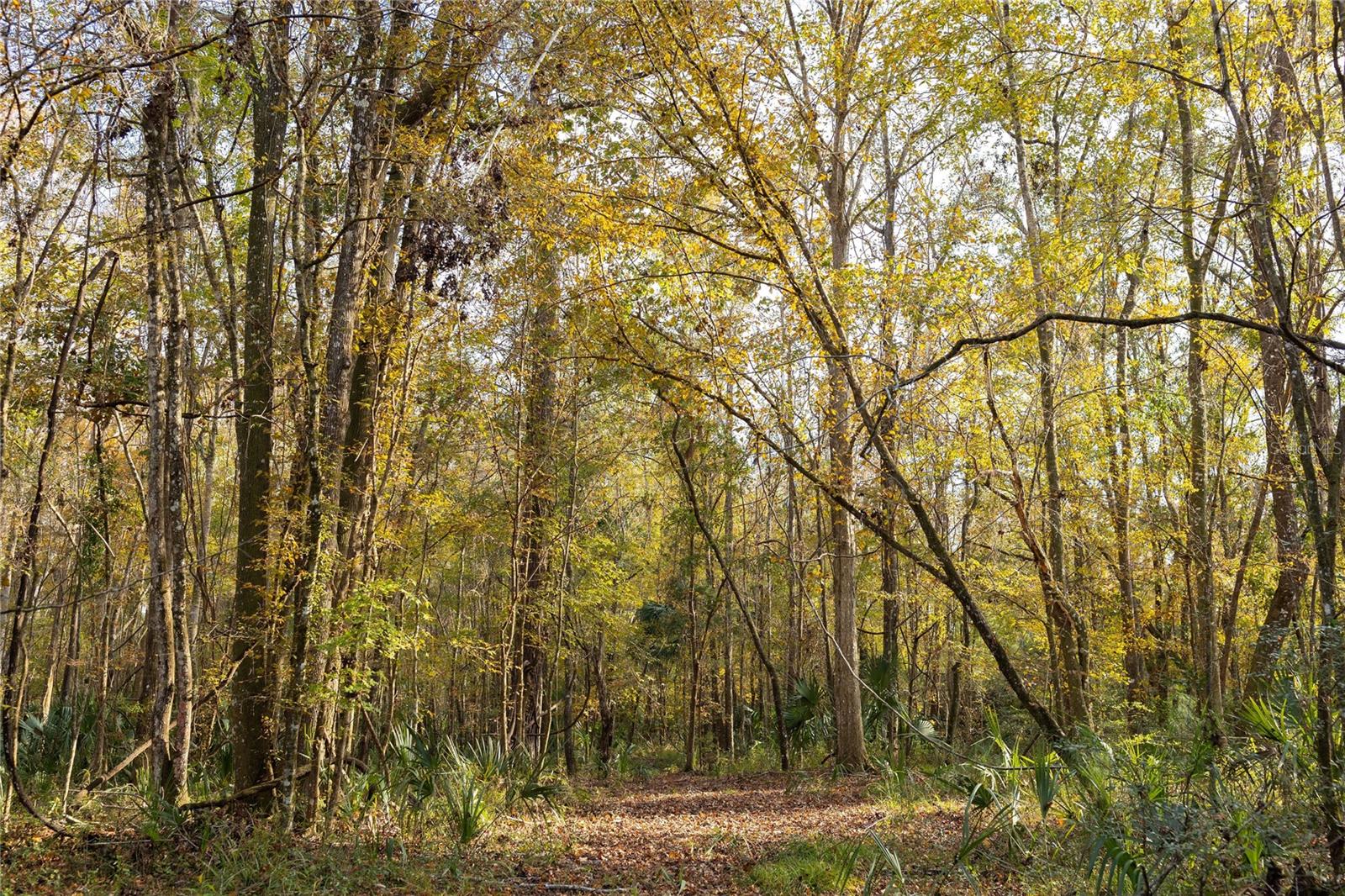Image 15 of 74 For  00 Cr 326  