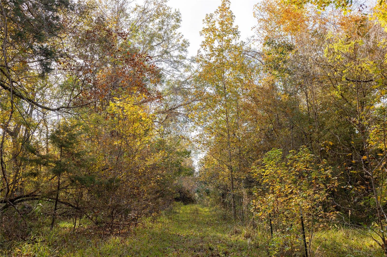 Image 17 of 74 For  00 Cr 326  