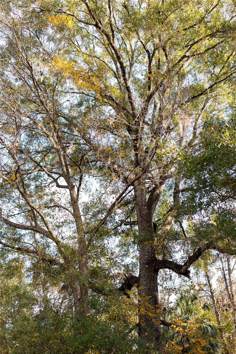 Image 26 of 74 For  00 Cr 326  