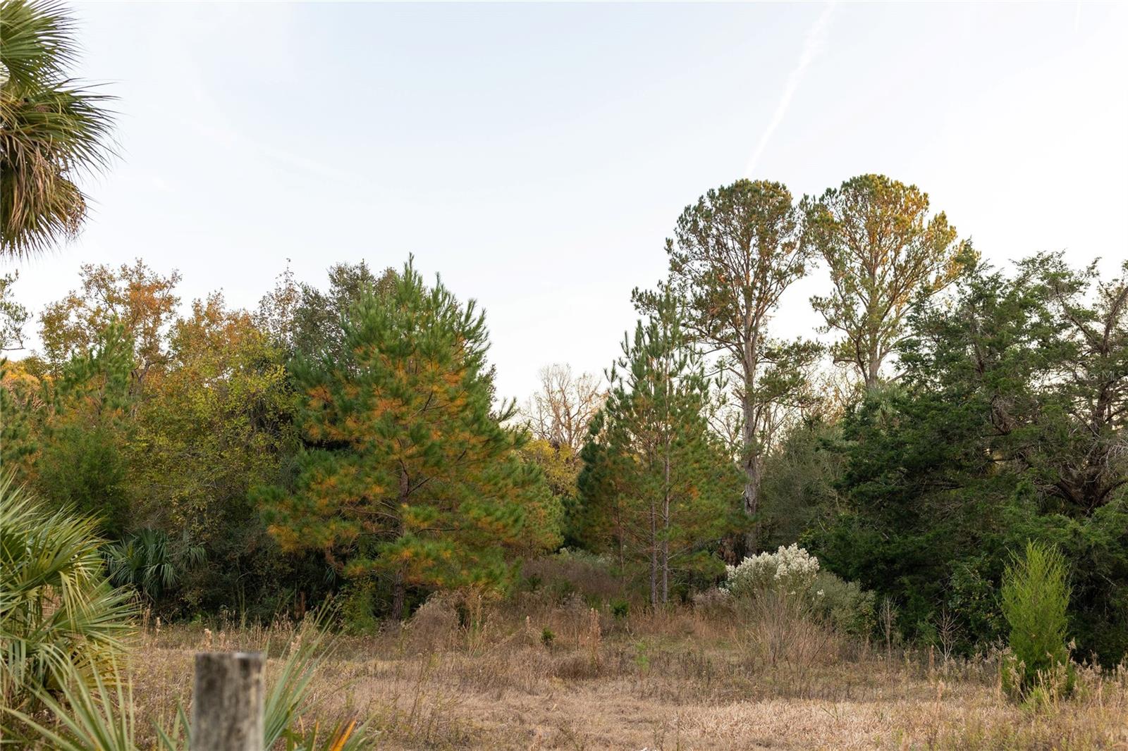 Image 39 of 74 For  00 Cr 326  