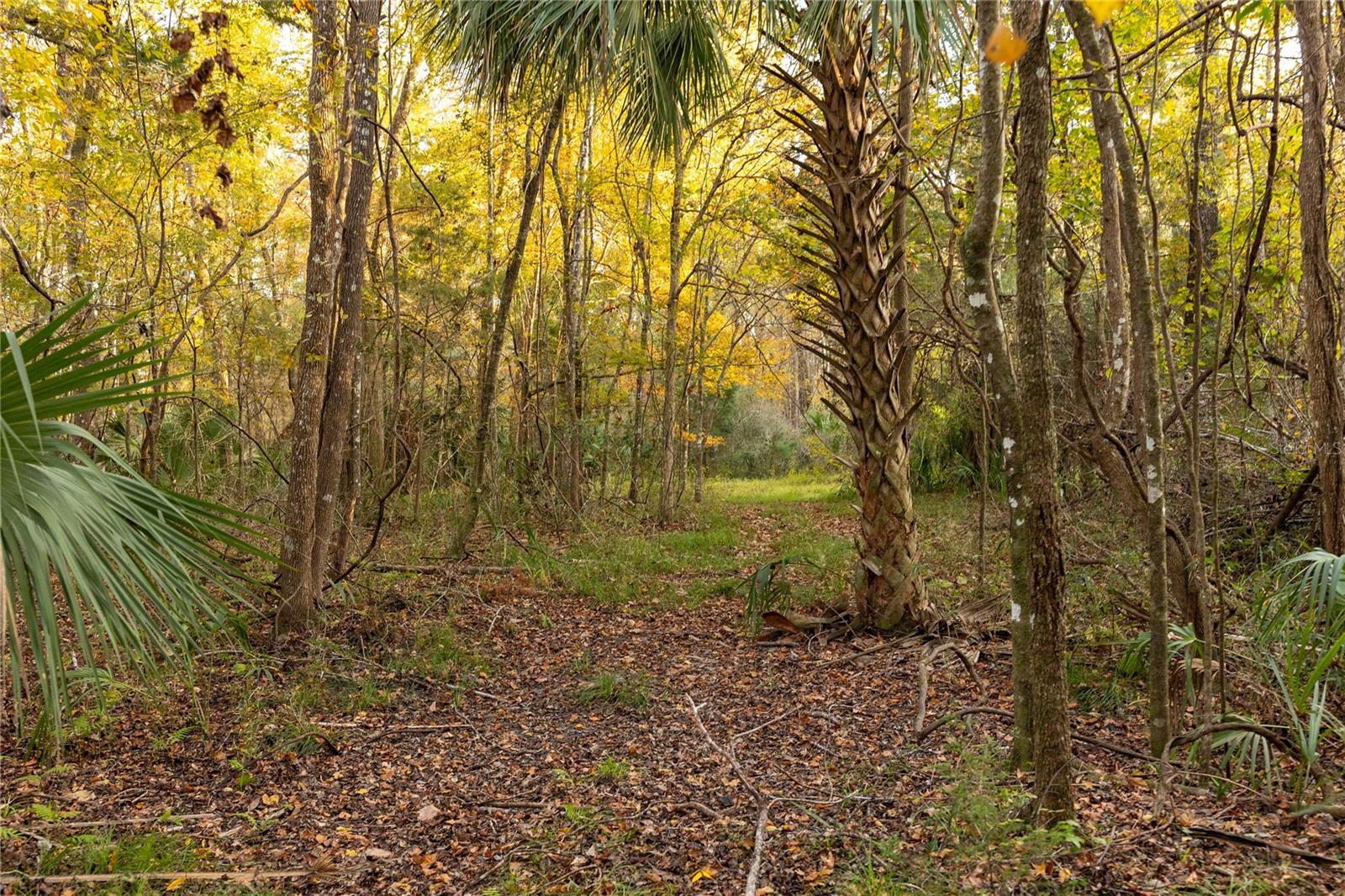 Image 45 of 74 For  00 Cr 326  