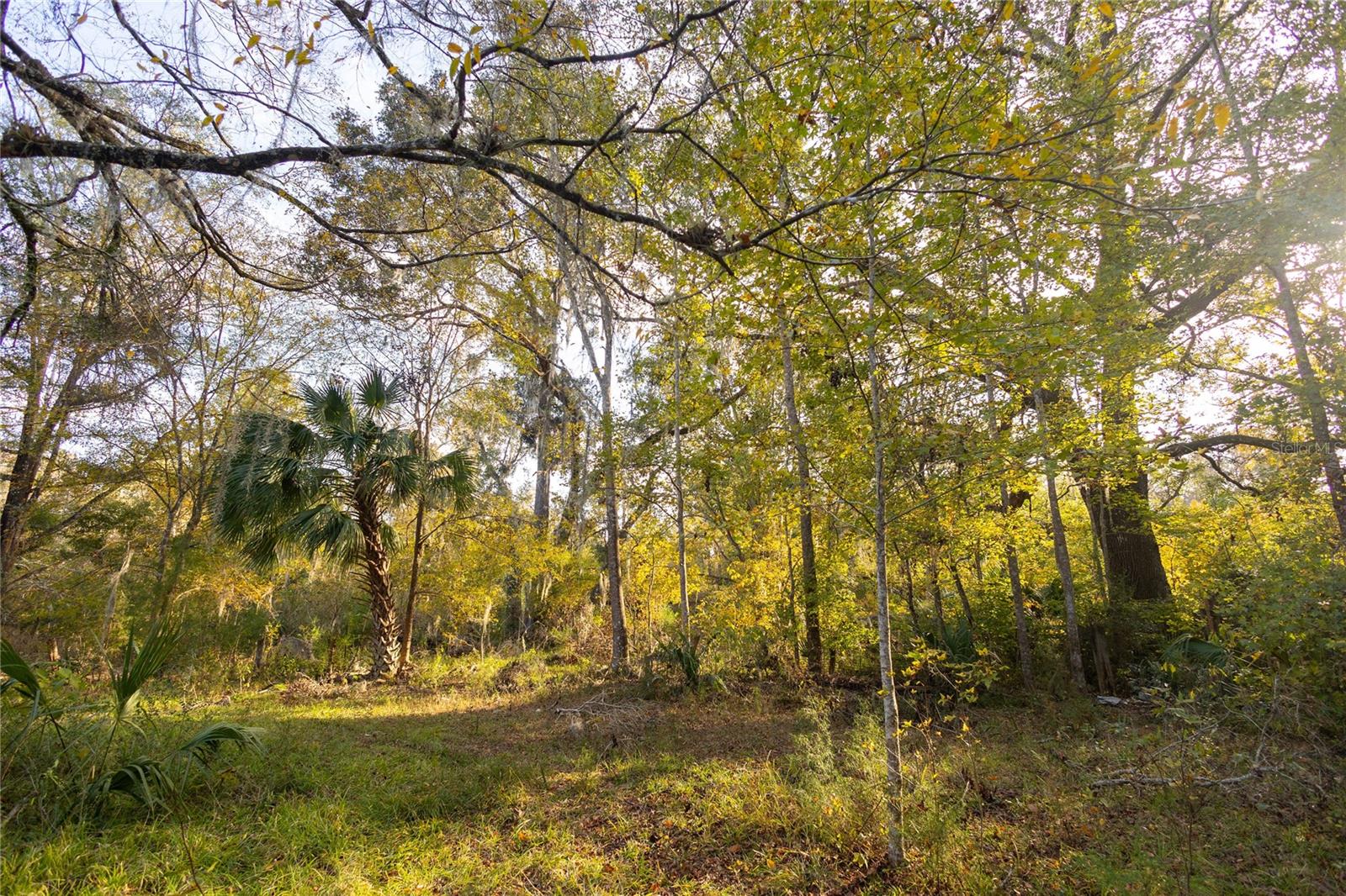 Image 56 of 74 For  00 Cr 326  