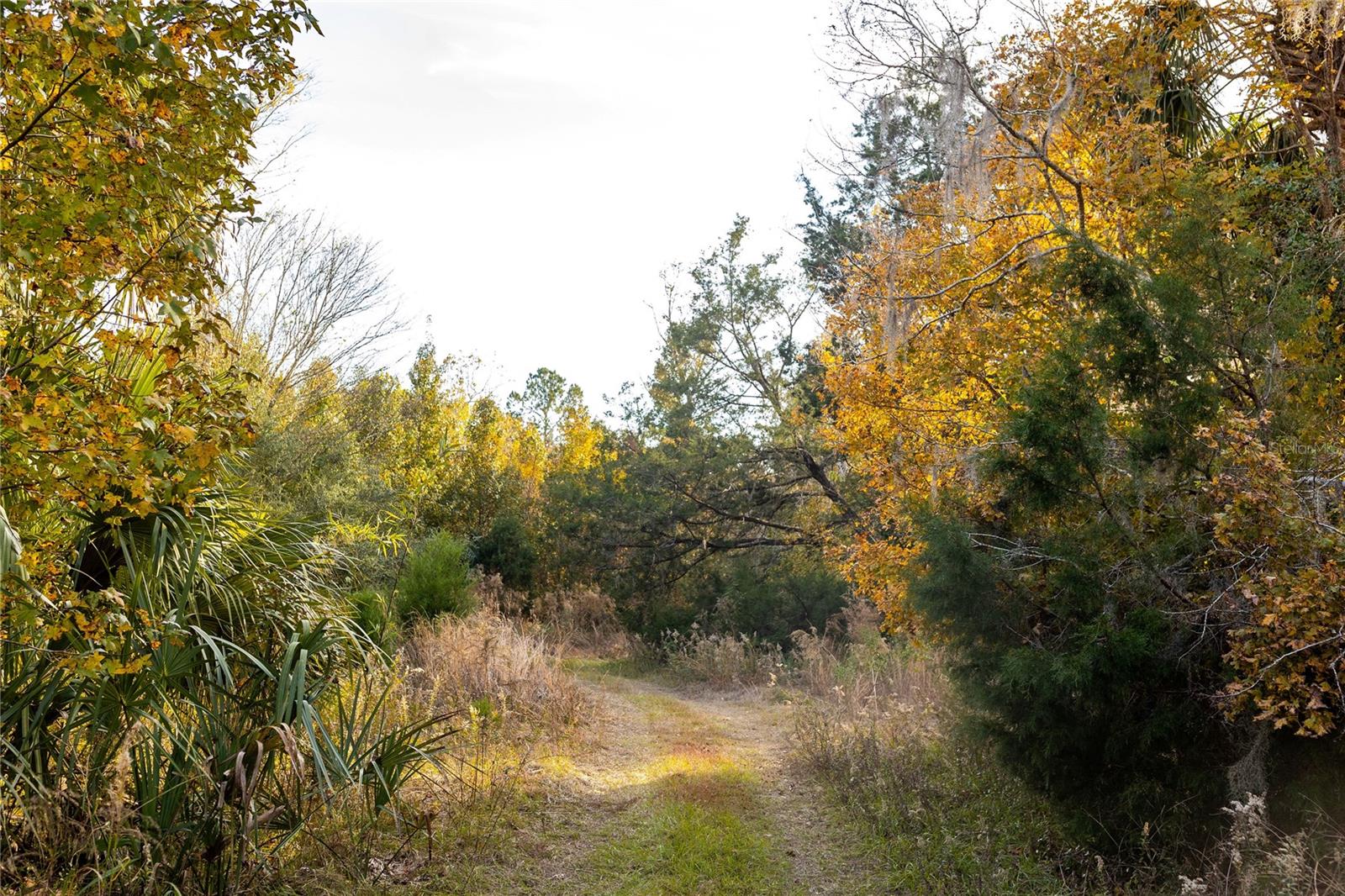 Image 57 of 74 For  00 Cr 326  
