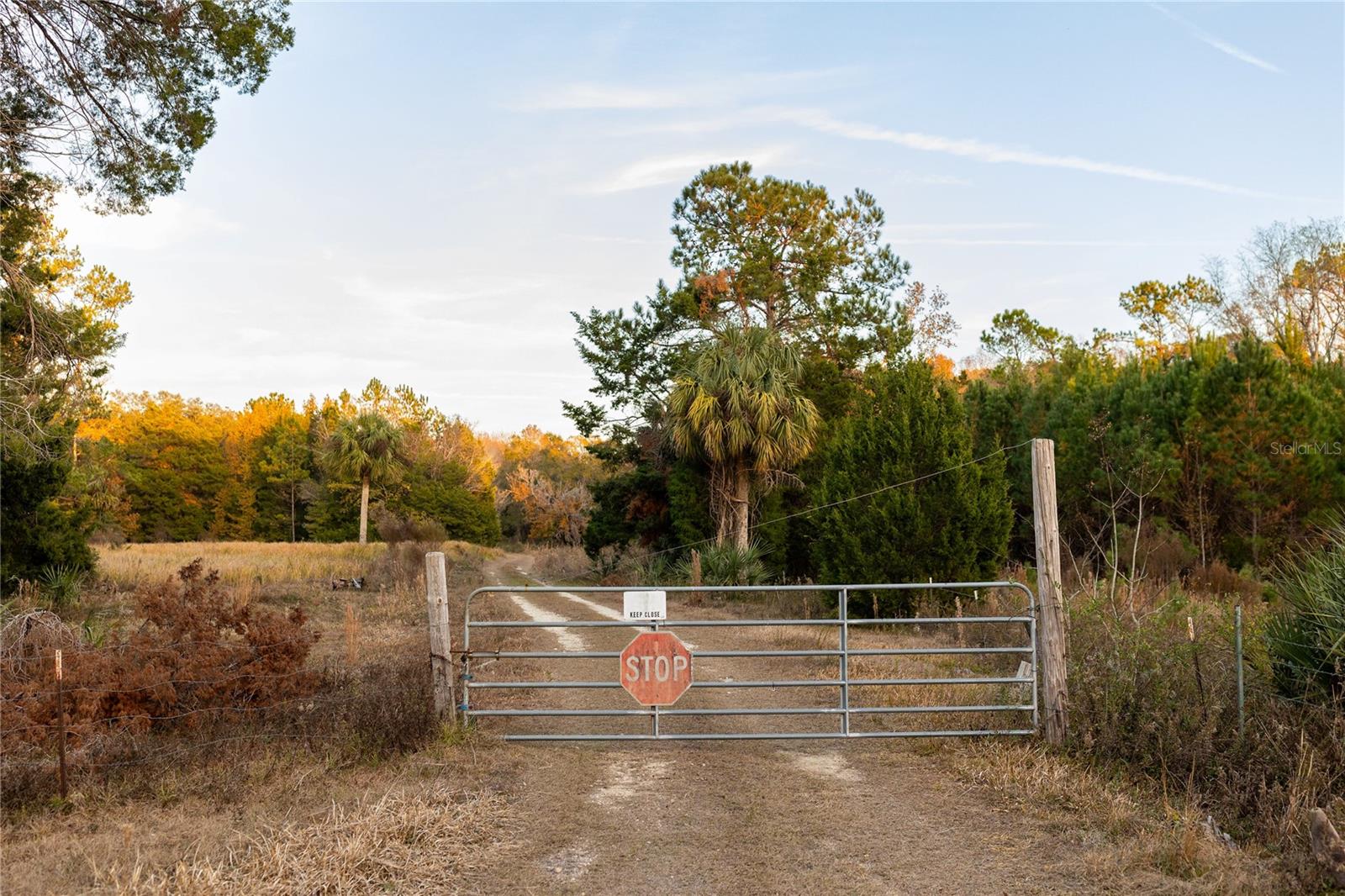 Image 58 of 74 For  00 Cr 326  