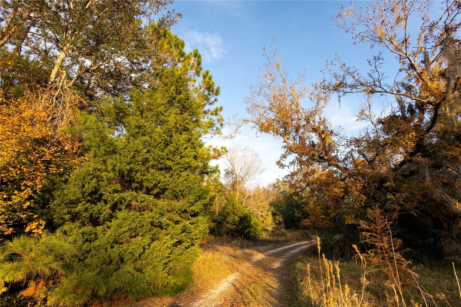 Image 60 of 74 For  00 Cr 326  