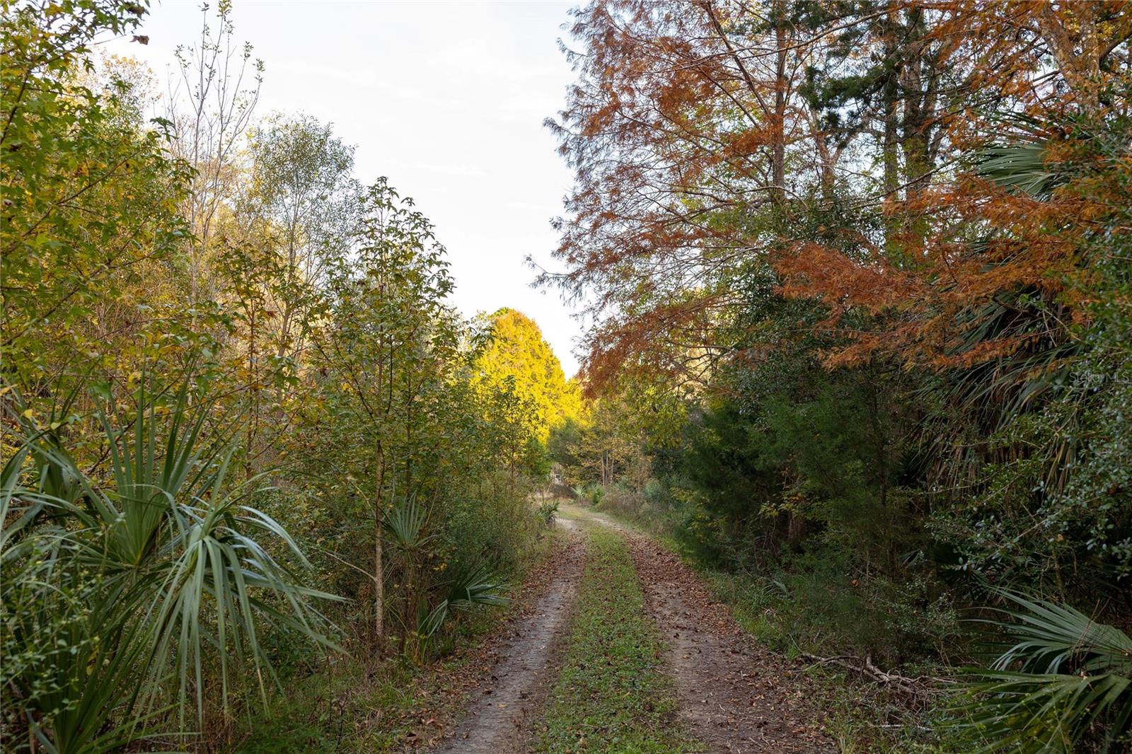 Image 63 of 74 For  00 Cr 326  
