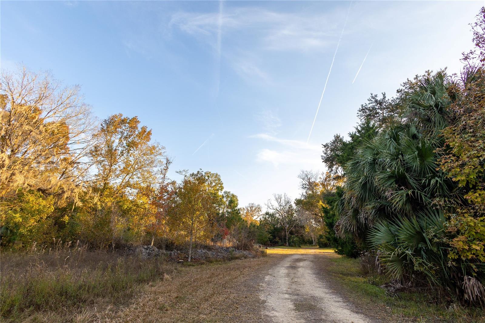 Image 64 of 74 For  00 Cr 326  