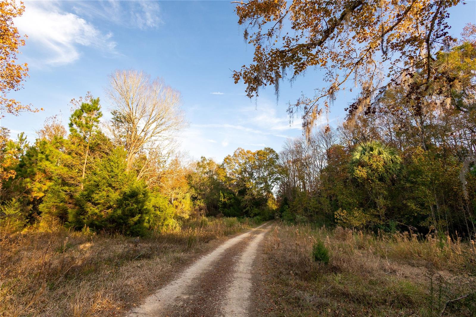 Image 68 of 74 For  00 Cr 326  