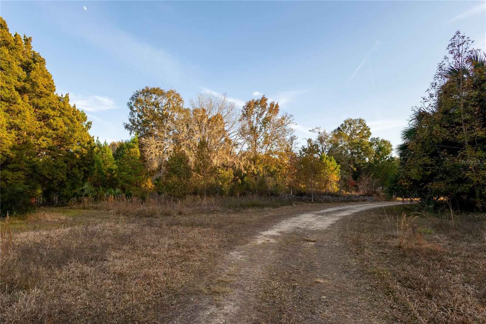 Image 70 of 74 For  00 Cr 326  