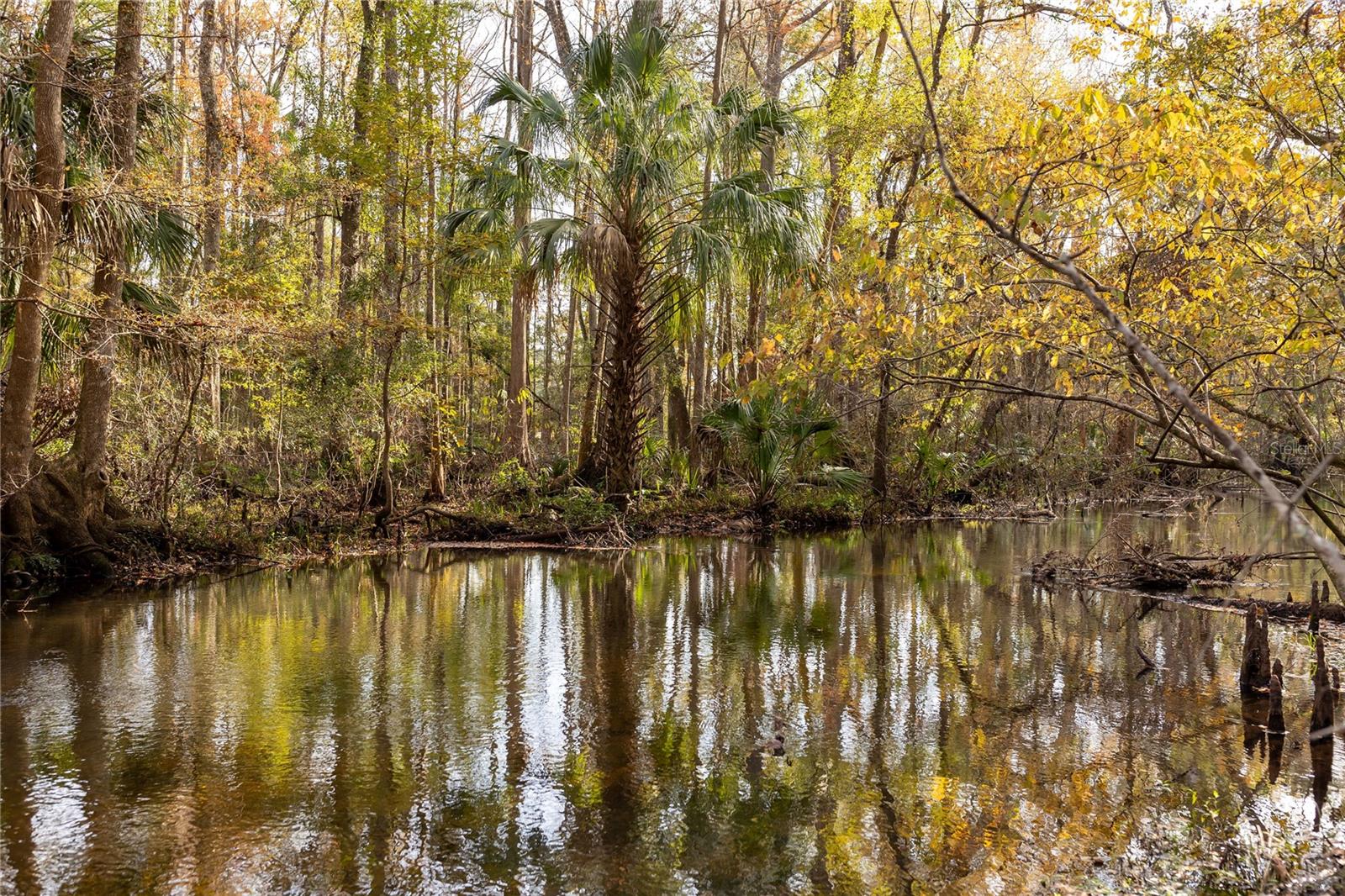 Image 9 of 74 For  00 Cr 326  