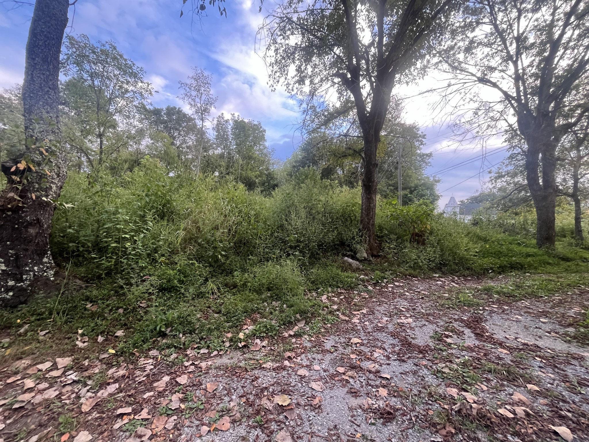 Image 31 of 65 For 6780 57th Avenue