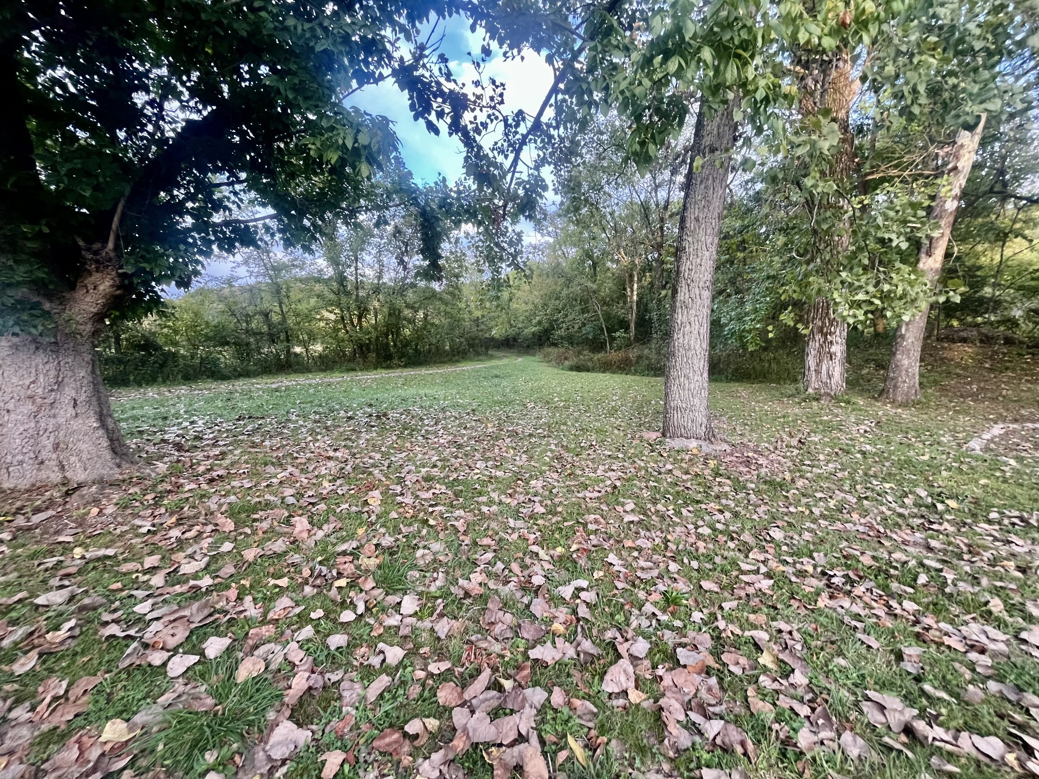 Image 7 of 65 For 6780 57th Avenue