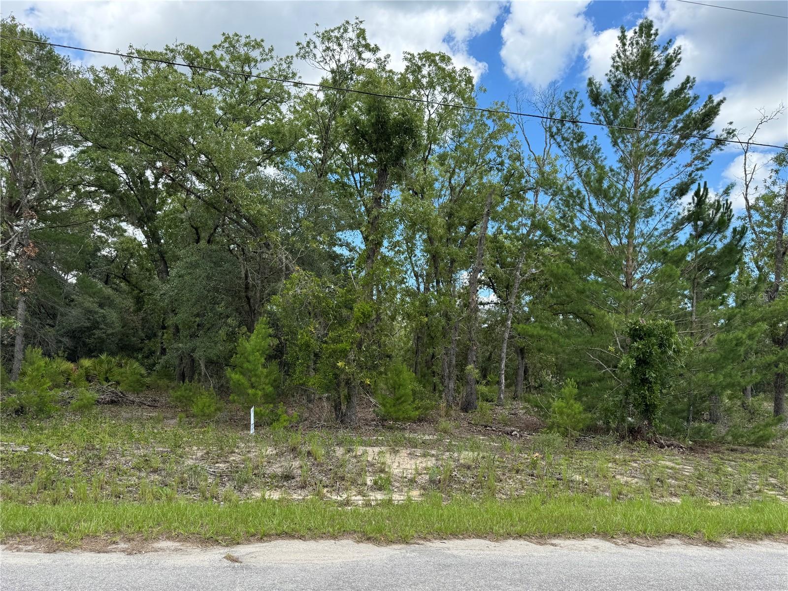 Details for 0 Malauka Trail Course 04, OCKLAWAHA, FL 32179