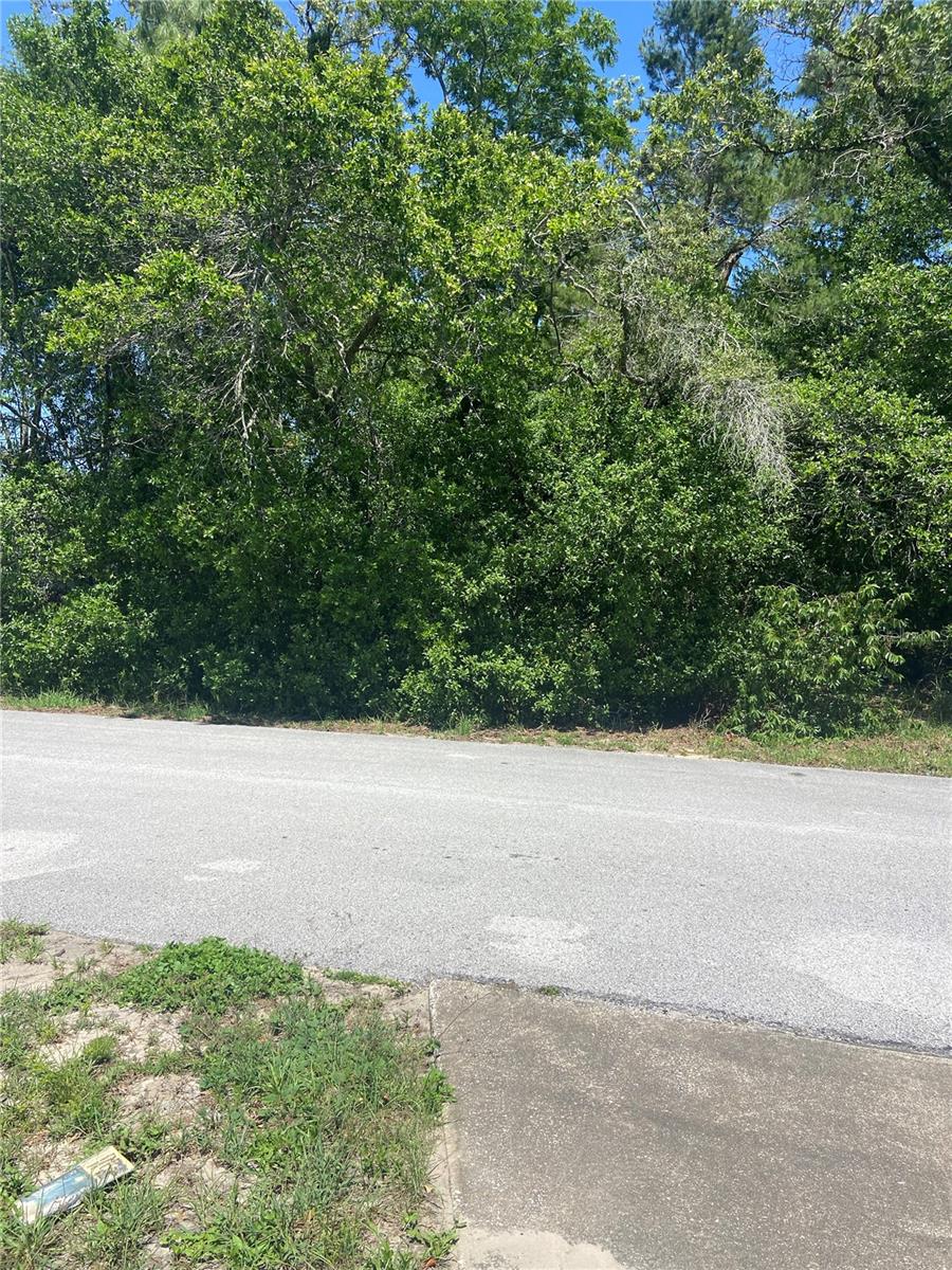 Listing Details for Bluffview Dr, SPRING HILL, FL 34609