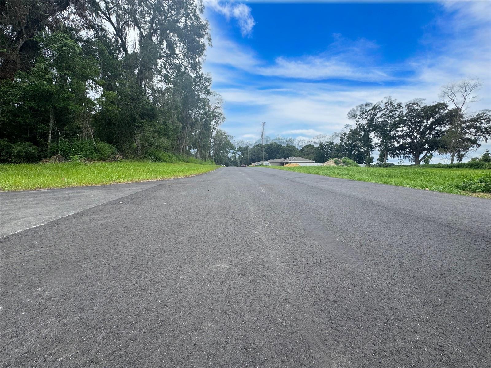 Image 26 of 26 For 17603 112th Lane