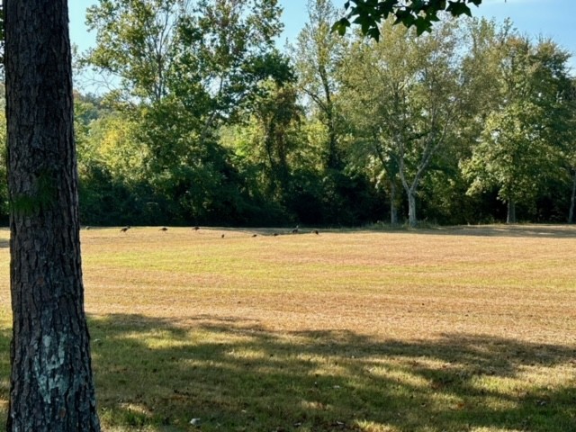 Image 26 of 26 For 2715 104th Court 1