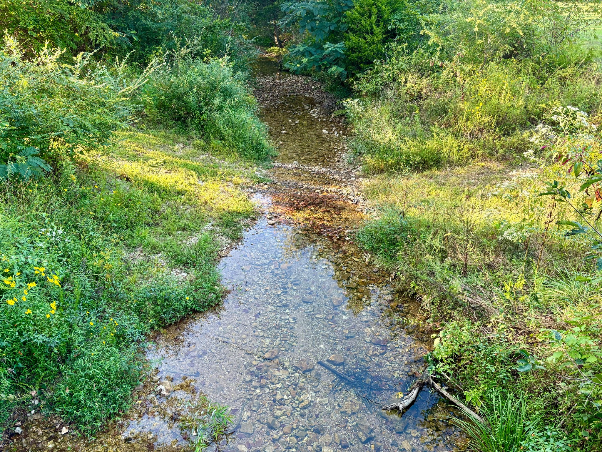 Image 37 of 46 For 2715 104th Court 1