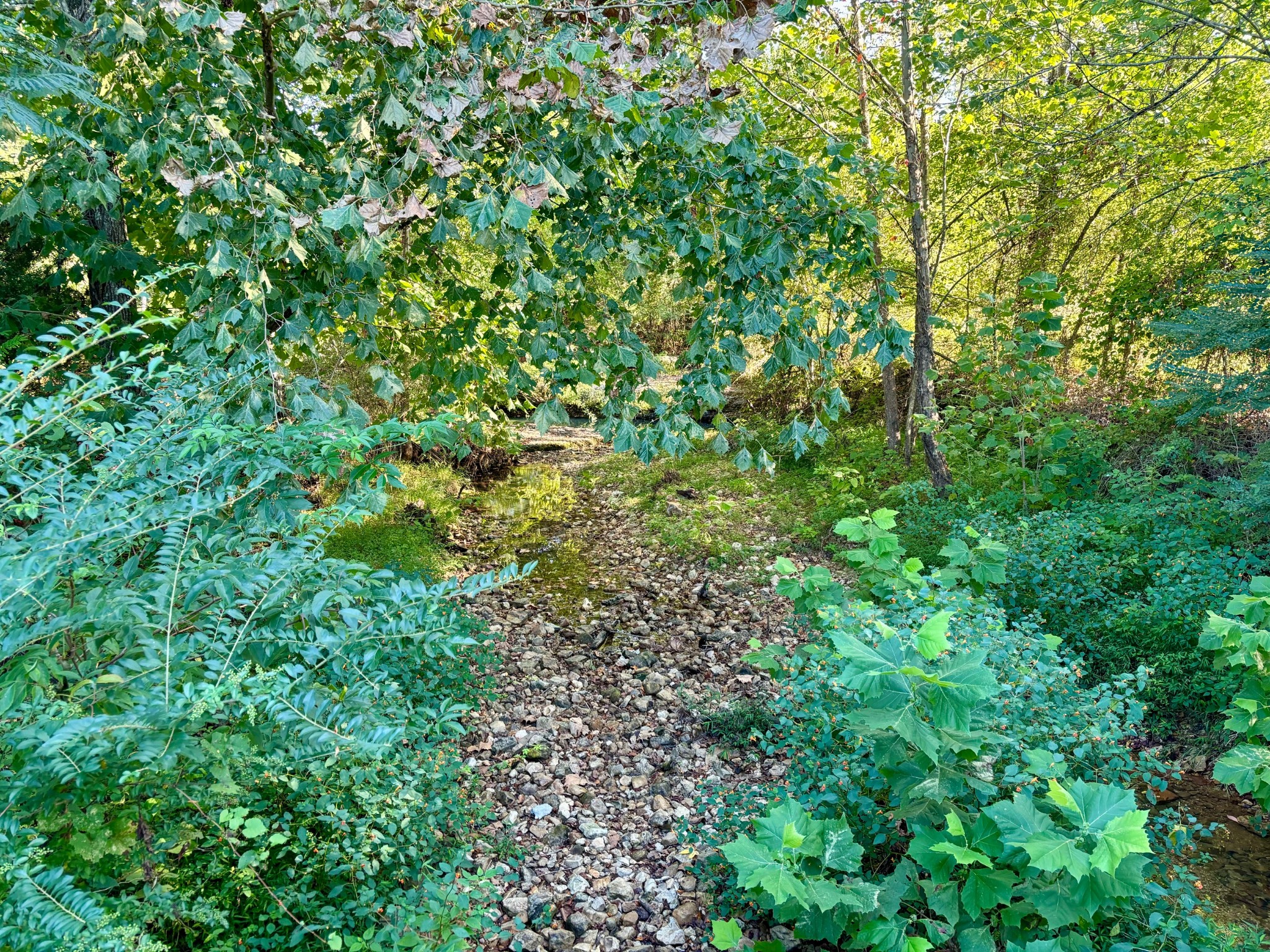 Image 38 of 46 For 2715 104th Court 1