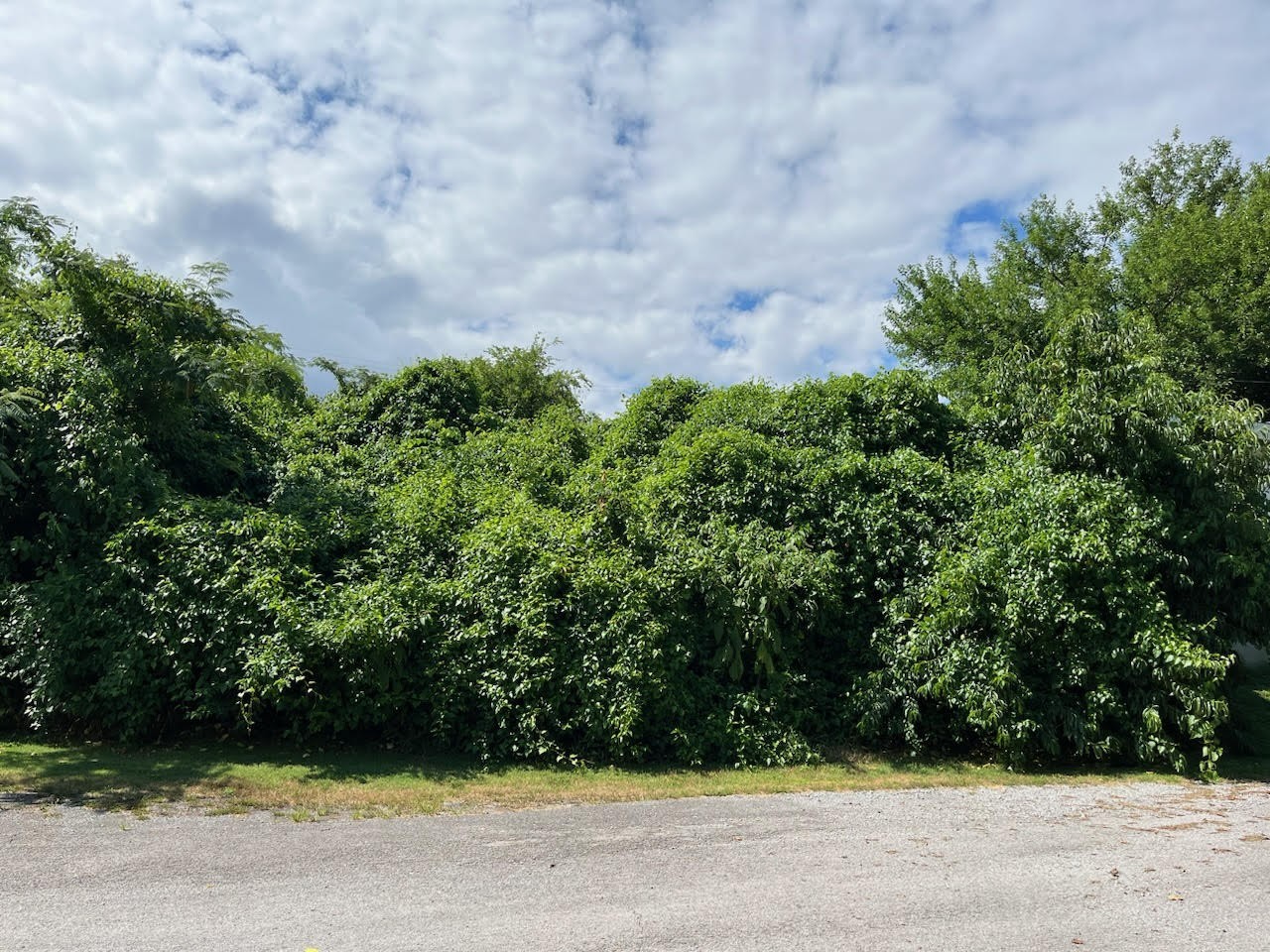 Image 4 of 23 For 8848 96th Lane A