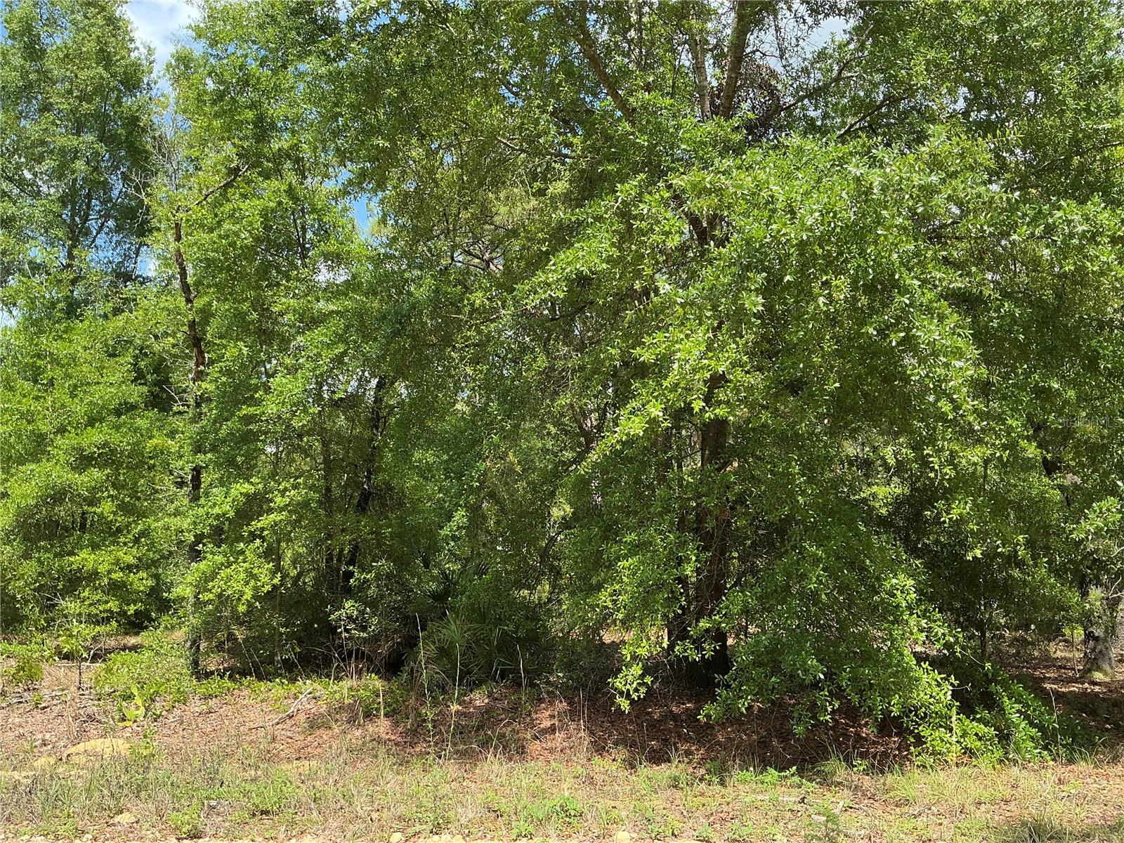 Details for  64th Street , OCALA, FL 34481
