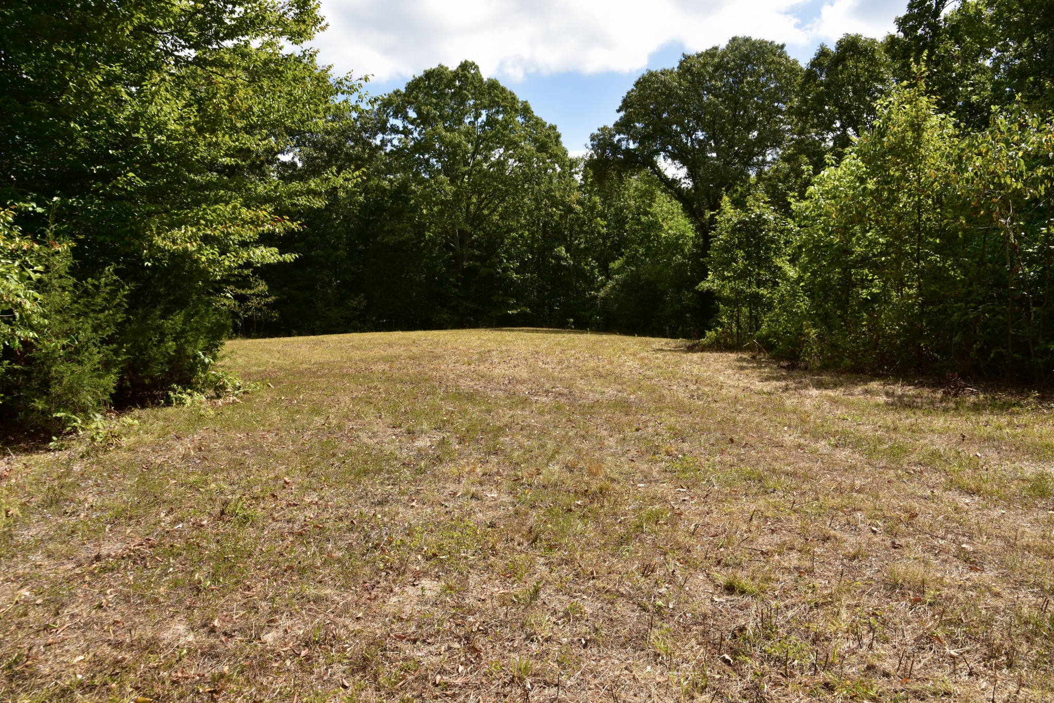 Details for 3035 104th Terrace, SILVER SPRINGS, FL 34488