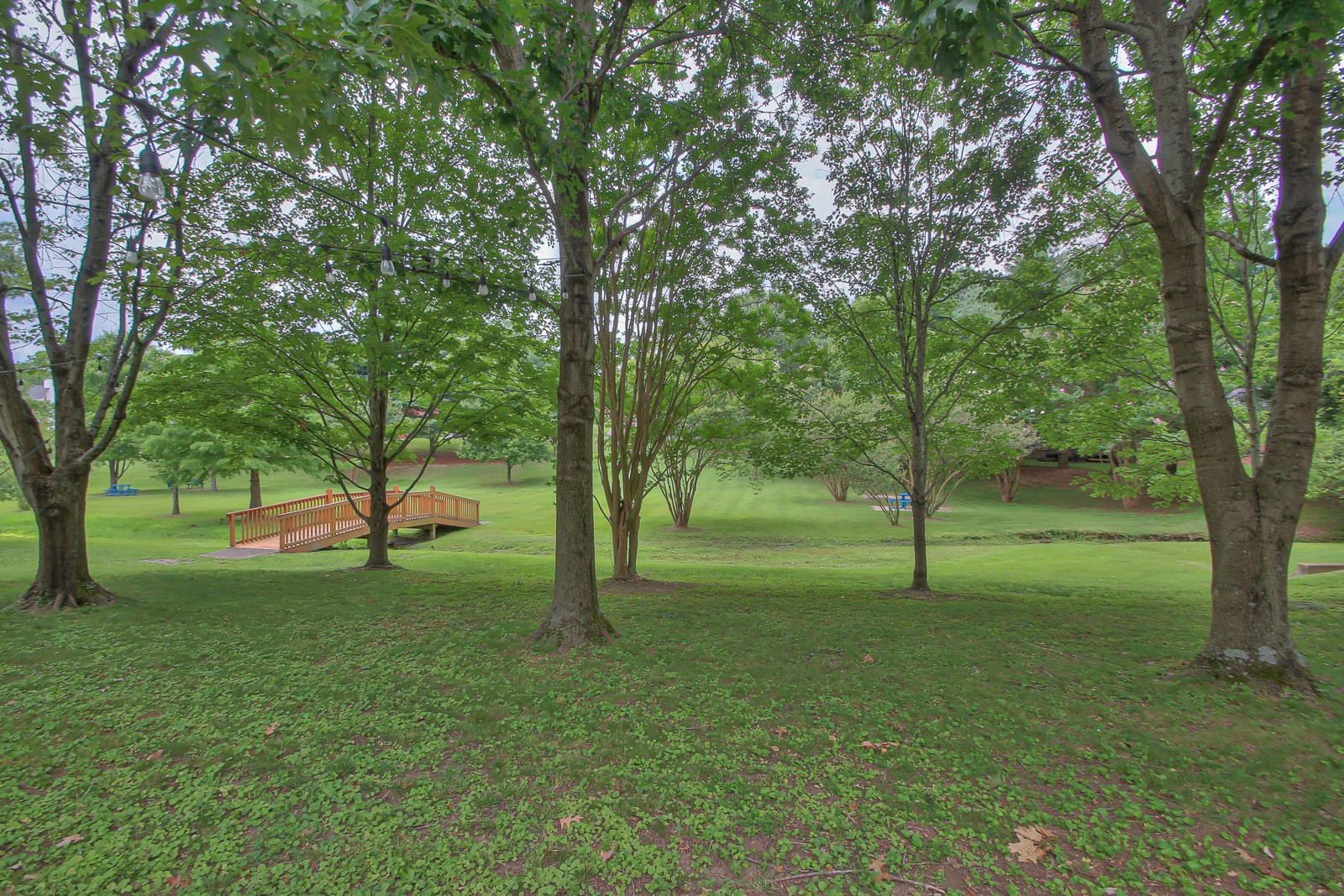 Listing photo id 33 for 9709 Baymeadows Drive