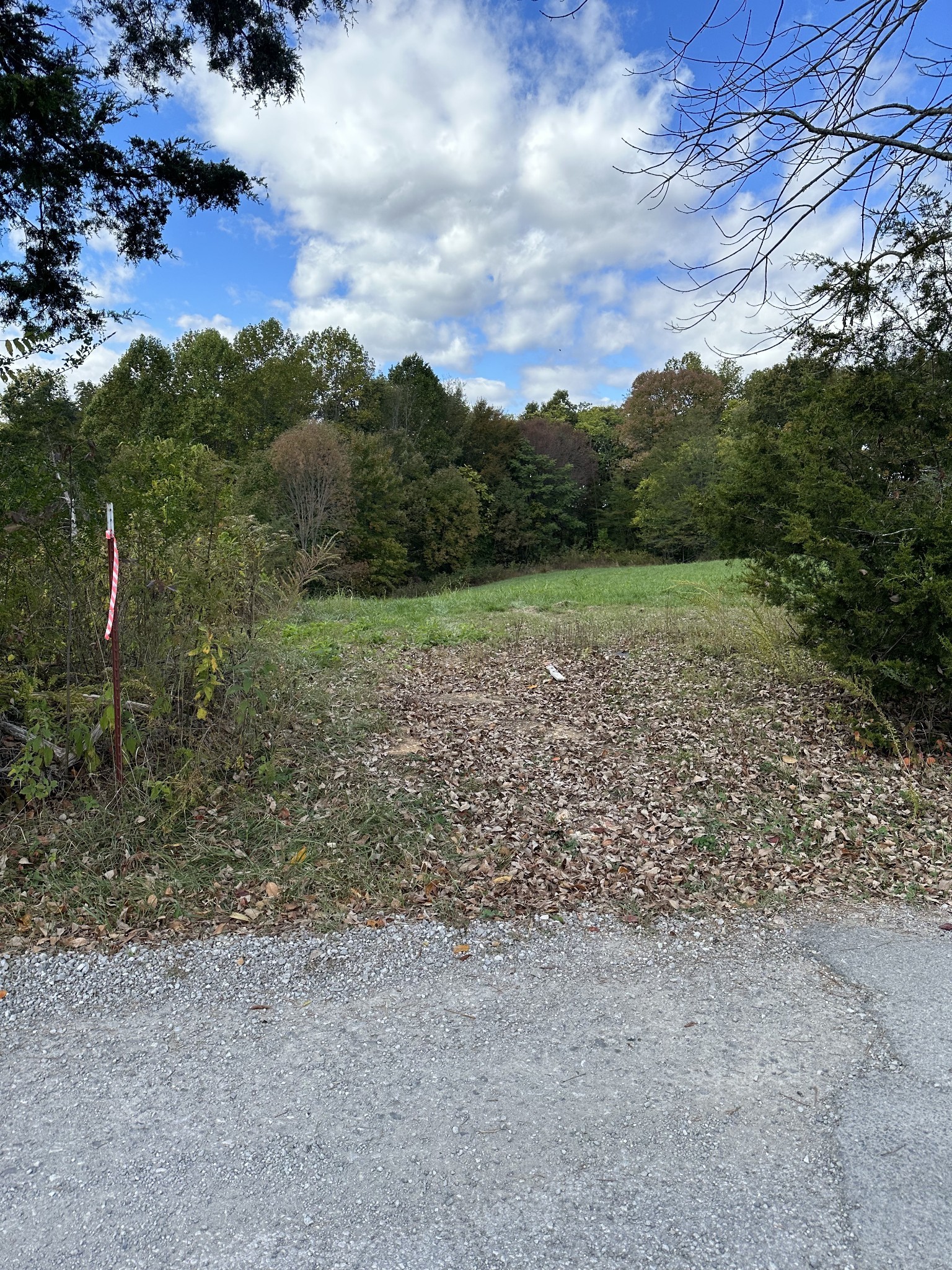 Details for 9290 125th Avenue, OCALA, FL 34482